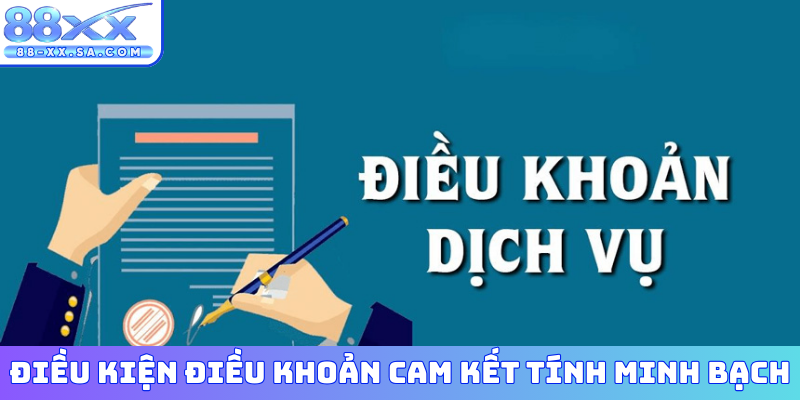 Điều kiện điều khoản cam kết tính minh bạch